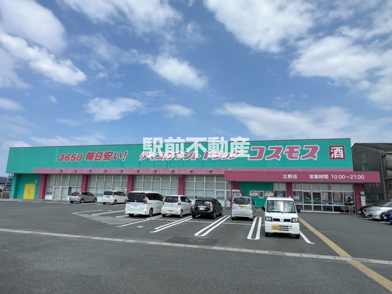 コスモス