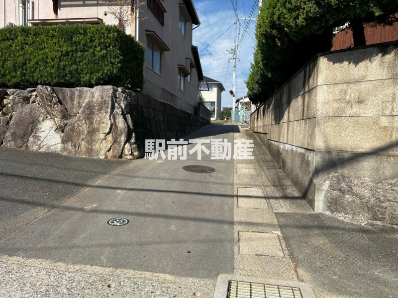 大熊公園北側より