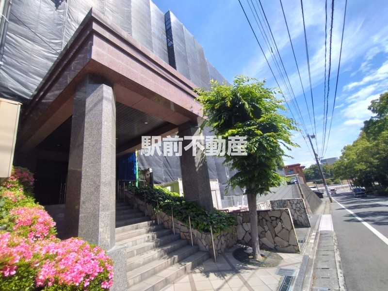 大規模修繕工事中