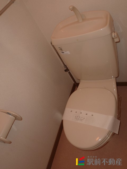 水洗トイレです