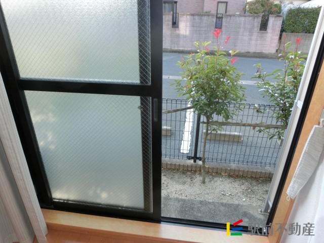 前面庭