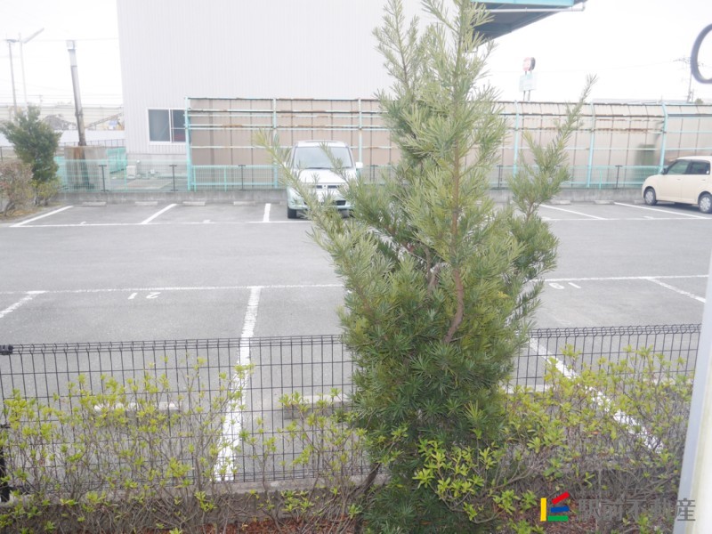 日当たり良好