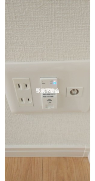 写真はイメージです